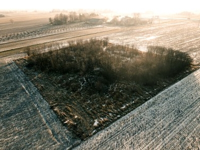 Działka budowlana Brzezice