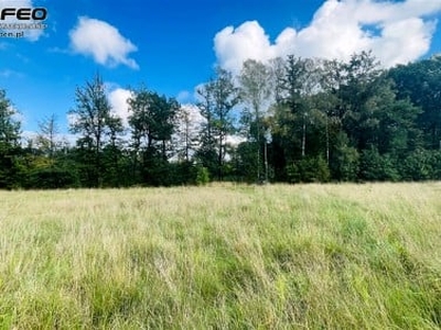 Działka budowlana Międzyrzecze Górne