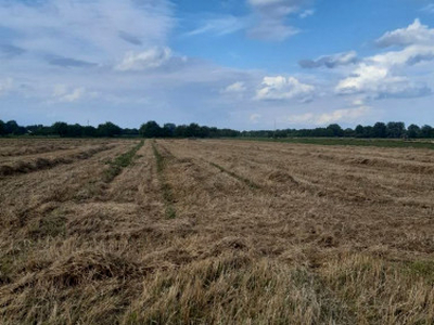 Działka budowlana Opacz