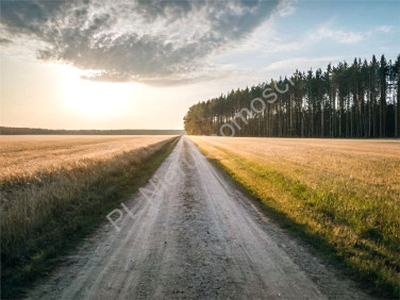 Działka budowlana Rusiec