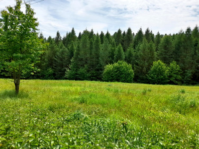 Działka budowlana Ryglice