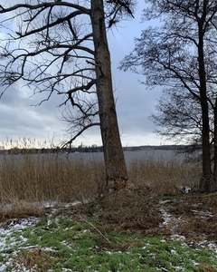 Działka budowlana Skrzynki, ul. Figowa