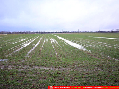 Działka budowlana Wierciszów