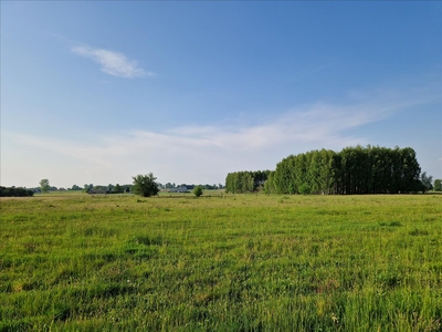 Działka na sprzedaż, Siedlecki, Żdżar