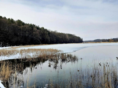 Działka rekreacyjna Pilaszkowice Pierwsze