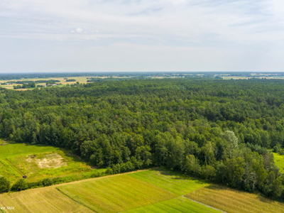 Działka rolna Borki