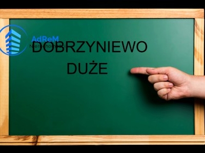 Działka rolna Dobrzyniewo Duże