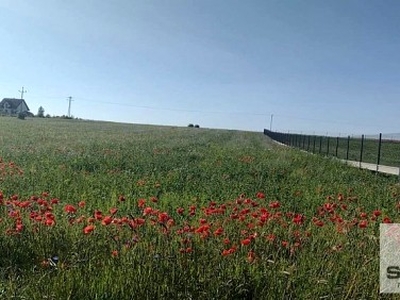 Działka rolna Kamień Pomorski