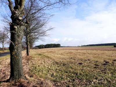 Działka budowlana Parzniewice