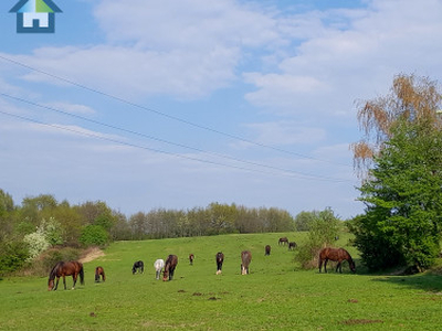 Działka rolno-budowlana Oświęcim