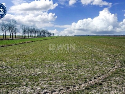 Działka siedliskowa Kraśnik Dolny