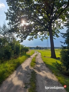 Nowe Żukowice, na sprzedaż działka budowlana, 40 ar