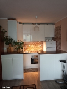 Nietuzinkowy Apartament nad Odrą!