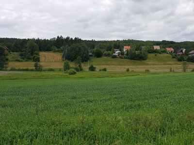 Dzialka budowlana 1ha Michalin Przywidz