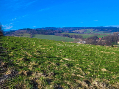 Nowotarski (pow.), Raba Wyżna (gm.), Raba Wyżna