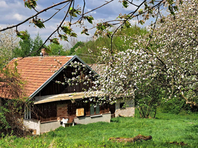 Strzyżowski, Niebylec, Lutcza