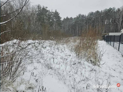 Działka budowlana położona przy lesie.