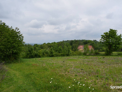 Działki budowlane od 10a w Hermanowej