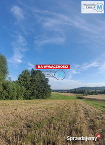 Oferta sprzedaży gruntu Masłów Drugi Masłów, województwo świętokrzyskie, Poland 5425m2