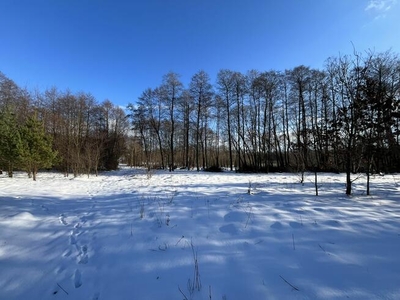 Ustawna działka pod wymarzony dom w Janiku -5029m2