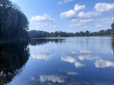 Działki pełne uroku pod Ińskiem