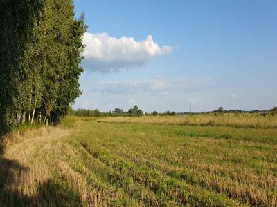 Sprzedam działkę z WZ, Zbydniów , gm. Zaleszany