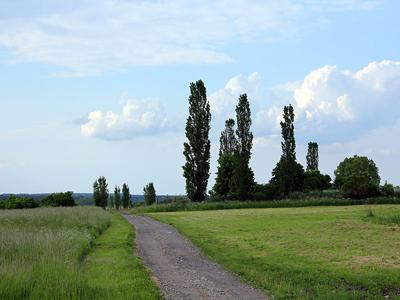 Bobolin działka budowlana 842 m2 250 zł/m2