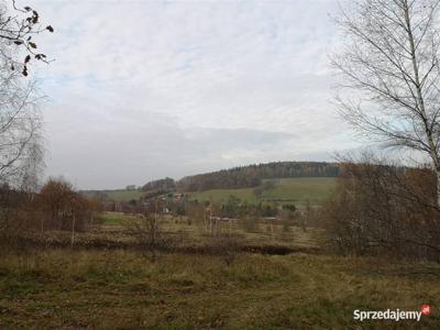 Ciekawa działka budowlana przy lesie