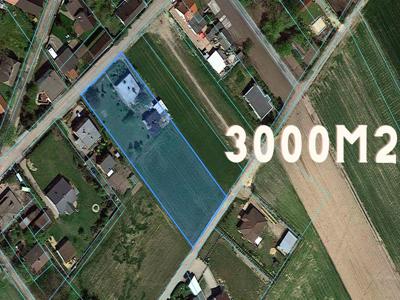 Działka 3000m2 z domem Okazja 20km od Poznania