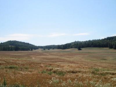 Działka budowlana Barcinek