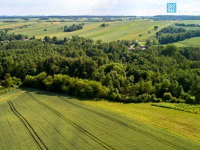 Działka budowlana Grzegorzowice Wielkie