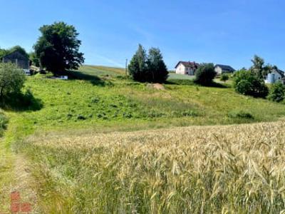 Działka budowlana Kozierów