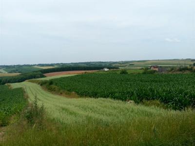 Działka budowlana Przeworsk