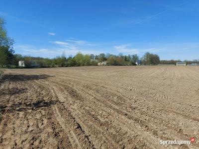 Działka budowlana w Miodarach koło Oleśnicy 1000 m2