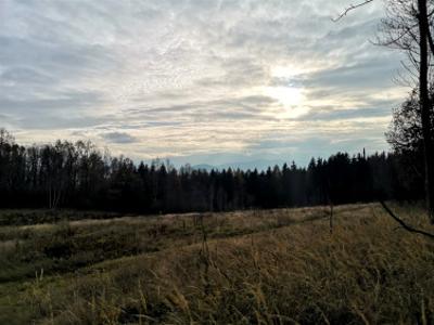 Działka budowlana Wojcieszyce