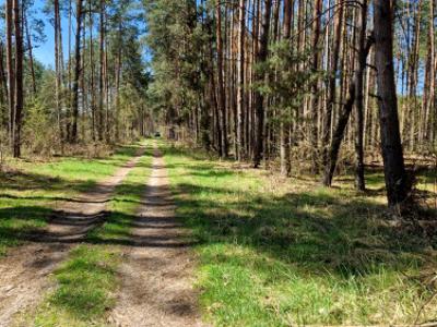 Działka Nowe Mierzwice