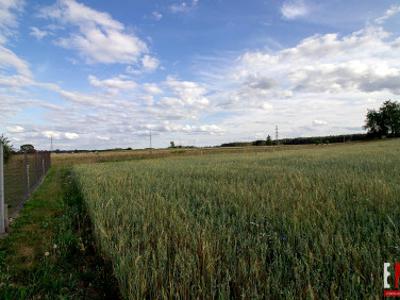 Działka rolna Bród Nowy