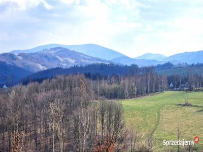 Panorama Góry Sowie, Zamek Grodno