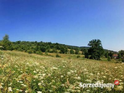 Piękna i spokojna okolica