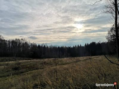 Widokowa działka budowlana w przy lesie