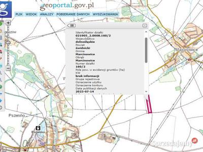 wydzierżawię grunt rolny 4,60ha gm. Marcinowice
