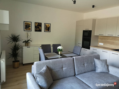 Apartament wynajmę