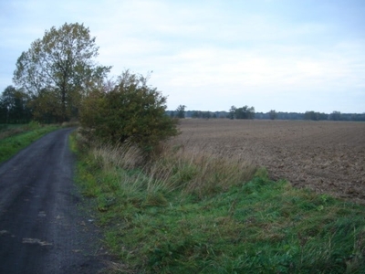 Chłopy Kładno - działka morze 800m