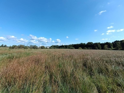 Lokata kapitału! Działka 1506m2 z mpzp - Dobra/Buk