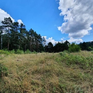 Działka bud. z warunkami zabudowy koło Dobiegniewa