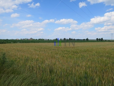 Działka budowlana Chrząstawa Wielka