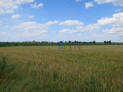 Działka budowlana Chrząstawa Wielka