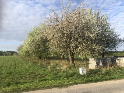 Działka budowlana Mierzączka Duża