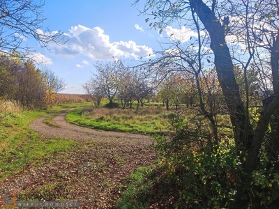 Działka budowlana Trojanowice