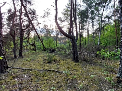 Działka budowlana Zagościniec